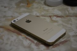 DSC_5534.JPG