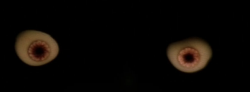 Eyeballs.png