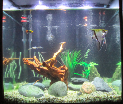 Screen Shot 2014-01-11 at 9.23.43 AM.png