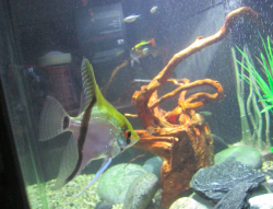 Screen Shot 2014-01-11 at 9.36.45 AM.png