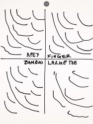 ImageUploadedByTapatalk1389769981.533269.jpg