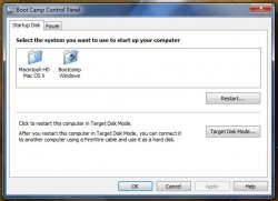 Windows startup disk.JPG