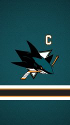 Sharks 02.jpg