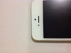 IMG_0126.JPG