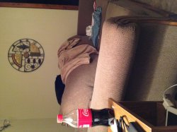 IMG_0334.JPG
