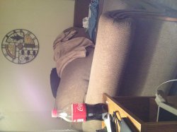 IMG_0335.JPG