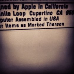 1531584_3707427204069_592813776_n.jpg