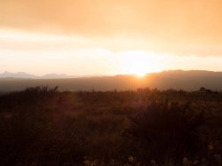lens flare-Edit.jpg