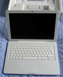 IMG_1343.JPG