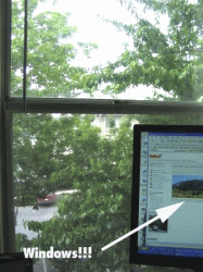 IMG_1592.gif