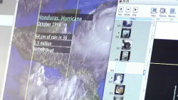 Picture 1.png