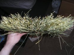 broom.jpg broom.jpg