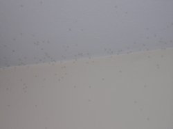 bugs.jpg bugs.jpg