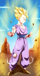 Gohan.jpg