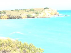 IMG_2935.JPG