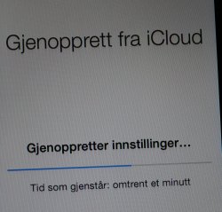 iPhone_1.jpg
