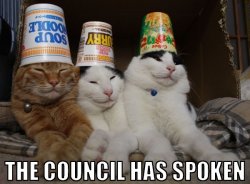 cats-the-council-has-spoken.jpg