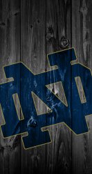 Fighting Irish.jpg