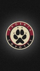 Phoenix Coyotes 01.jpg