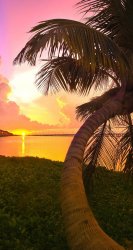 Sunset 02.jpg