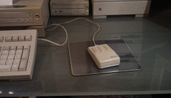 IMAG0228.jpg