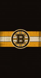 Bruins 02.jpg
