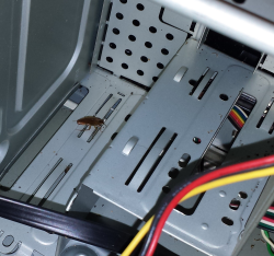 dat bug.png