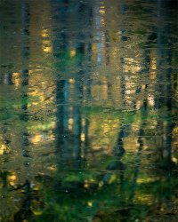 Untitled-1.jpg
