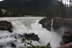 Jasper-2011_0037.png