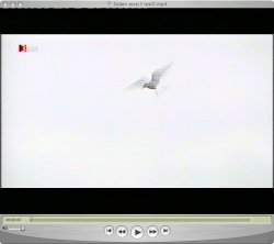 Test.jpg