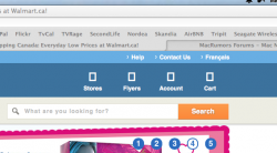 Safari view icons wrong.png