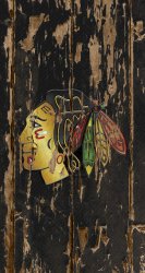 Blackhawks WD iPhone 02.jpg