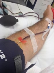 blood.jpg