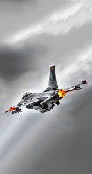 F16.jpg