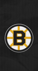 Bruins 01.jpg
