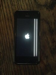 IMG_0798.jpg