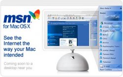 msnx.jpg