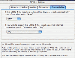 mpeg4settings.gif