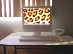 iMacg5.jpg