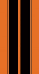 Orange Black Stripes.jpg