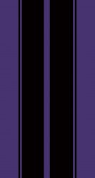 Purple Black Stripes.jpg