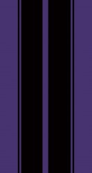 Purple Black Stripes.jpg