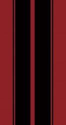 Burnt Red Black Stripes.jpg