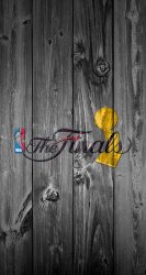 NBA Finals 03.jpg