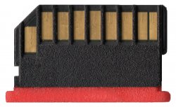 r13_Back_red.jpg