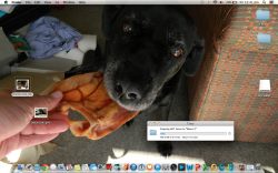 Screen Shot 2014-05-23 at 12.41.48 pm.png