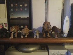 IMG_9149.jpg