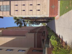 IMG_3945.jpeg
