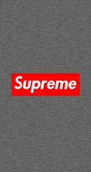 Supreme 04.jpg