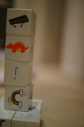 DSC02082.jpg